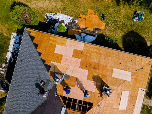 Best Roof Gutter Cleaning  in Pasatiempo, CA